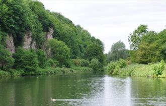 Lake in Creswell Crags with greenery and trees either side