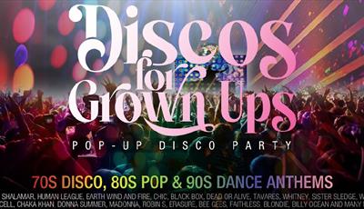 Discos for Grown Ups poster