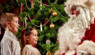 Two young children looking at Father Christmas in front of a Christmas Tree. 