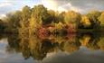 Kenning Park in Autumn by Sue King