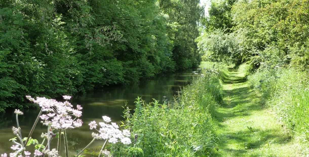 Chesterfield canal surrounded by grass, trees and flowers