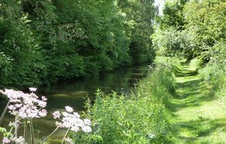Chesterfield canal surrounded by grass, trees and flowers
