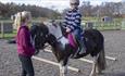 Pony rides at Matlock Farm Park