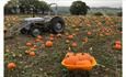 Pumpkin field and tractor