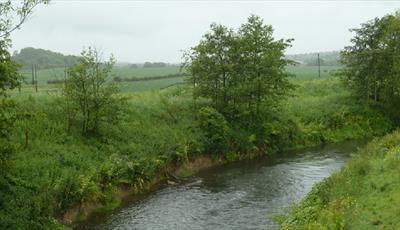 River Rother