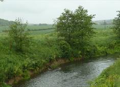 River Rother