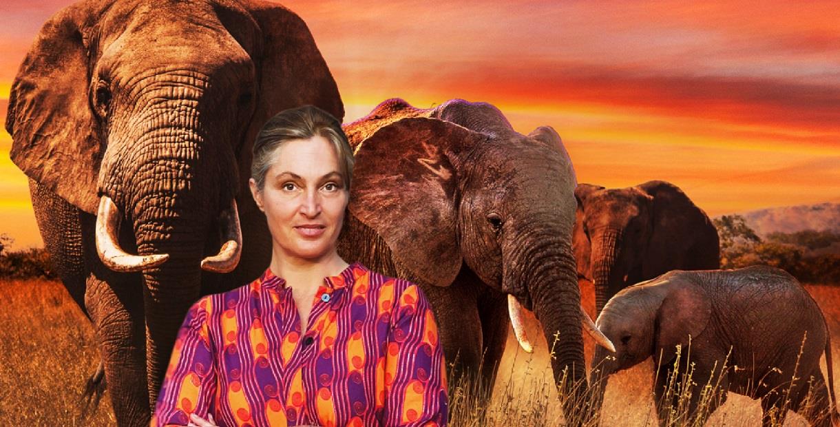 Saba Douglas-Hamilton - In the Footsteps of Elephants