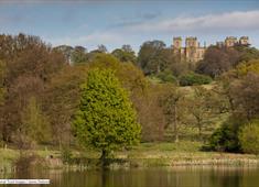 Walk for Parkinson's - Hardwick Hall - Saturday 2nd July - 4:30pm

