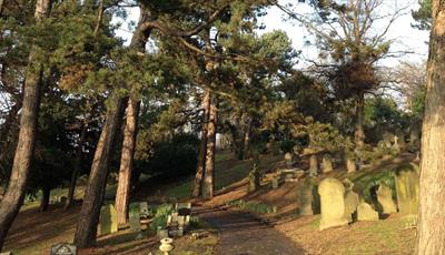 Headstones amongst tall trees in Spital Cemetery, Chesterfield