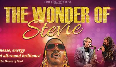 Images of Stevie Wonder Tribute Act Noel McCalla Performing