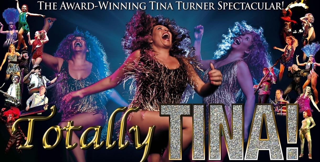Totally Tina promotional image