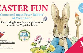 Peter Rabbit Image
