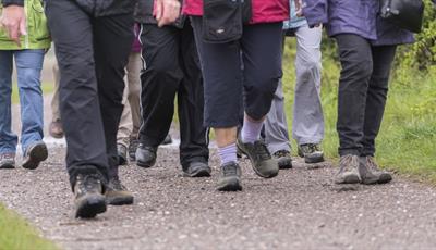Close up of a group of people's legs as they're walking on a paved path
