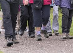 Close up of a group of people's legs as they're walking on a paved path
