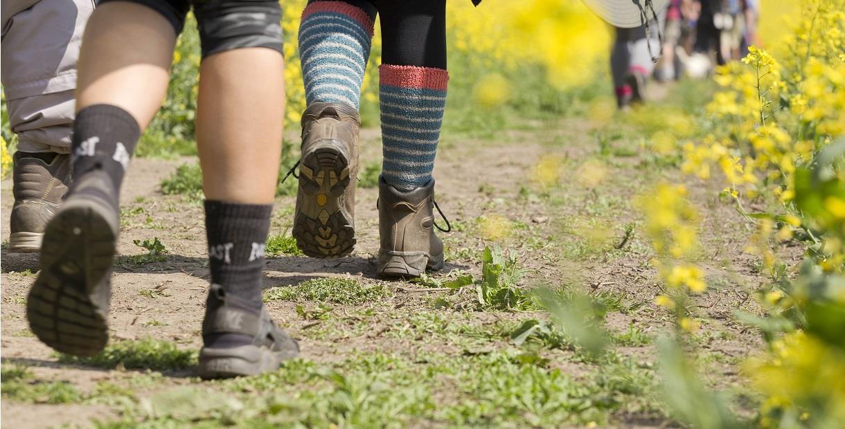 Close up of people's walking boots as they trek through a field