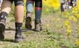 Close up of people's walking boots as they trek through a field
