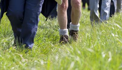 Close up of peoples legs as they're walking through a field