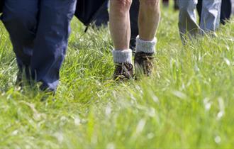A close up of people's ankles walking through grass