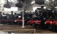 Five steam Trains at Barrow Hill Roundhouse