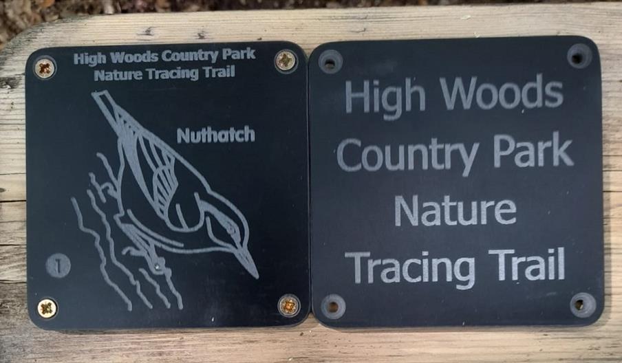 High Woods Country Park Tracing Trail