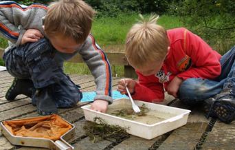 2 boys looking at bugs in a container after pond dipping