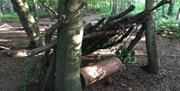 A den built from wood in High Woods Country Park
