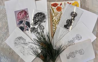 A selection of sample prints.