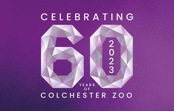 Colchester Zoo’s BIG Birthday Bash