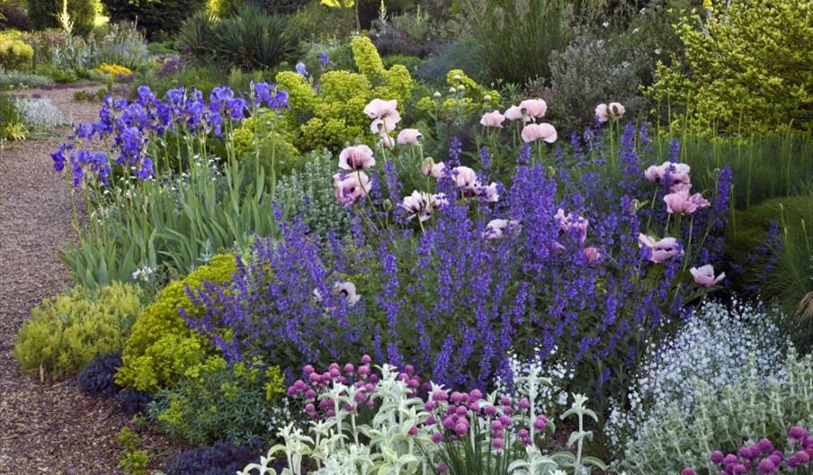 Beth Chatto's Plants & Gardens - National Gardens Scheme
