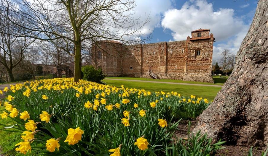 Spring Treasure Trail at Colchester Castle