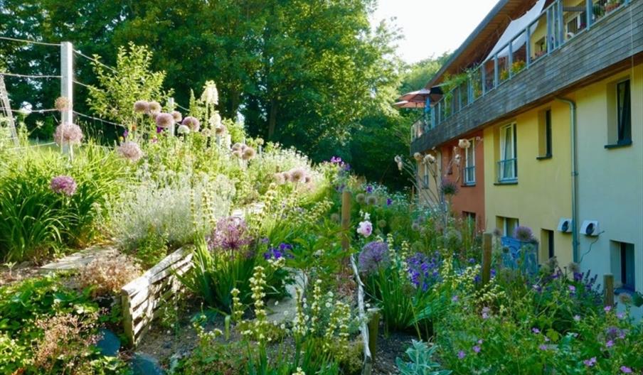 Cannock Mill Cohousing Gardens - National Garden Scheme
