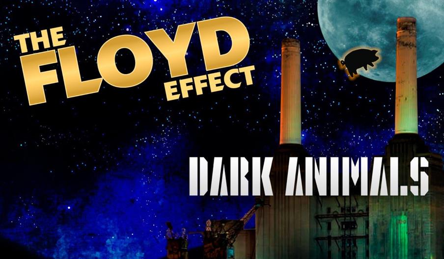 A poster for The Floyd Effect - Dark Animals tribute performance.