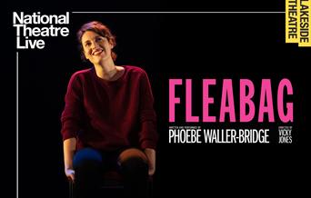 Fleabag poster with image of lady sitting down