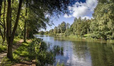 The fishing lake at High Woods Country Park