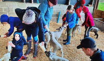 Lamb Season at Layer Marney Tower