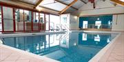 Indoor Swimming Pool at Marks Tey Hotel