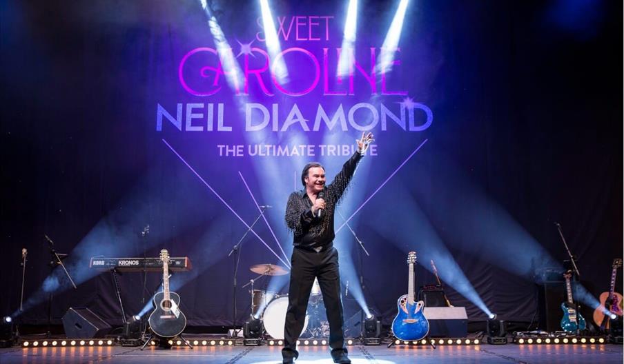 Neil Diamond: Sweet Caroline poster.