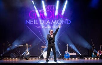 Neil Diamond: Sweet Caroline poster.