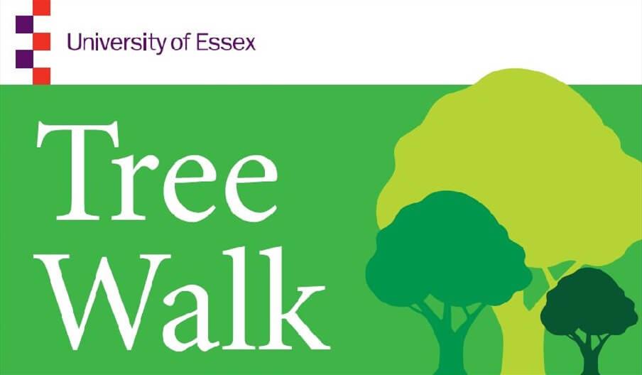 University of Essex Tree Walk logo