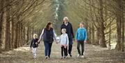 Family with children walking in woods