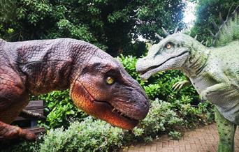 Dino Discovery Day at Colchester Zoo