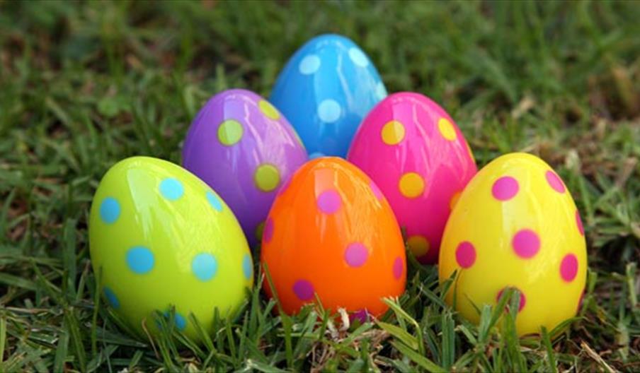 Easter Birds Egg Trail