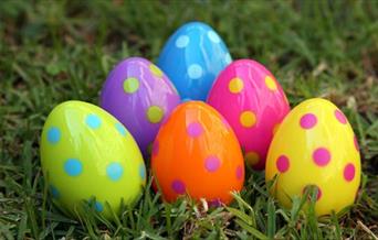 Easter Birds Egg Trail