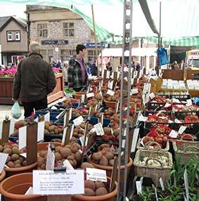 Conwy Seed Fair