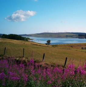 Cryno-lun ar gyfer Pentrefi Hiraethog a Llyn Brenig