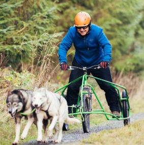 Mynydd Sleddog Adventures |