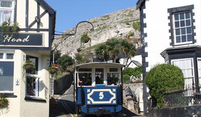 Curious About Llandudno
