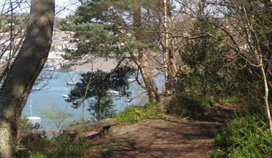 Bodlondeb Woods Local Nature Reserve