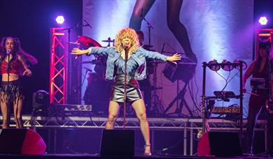 What's Love Got To Do With It?