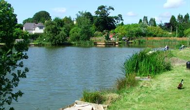 Fishing lake at Conwy Water Gardens